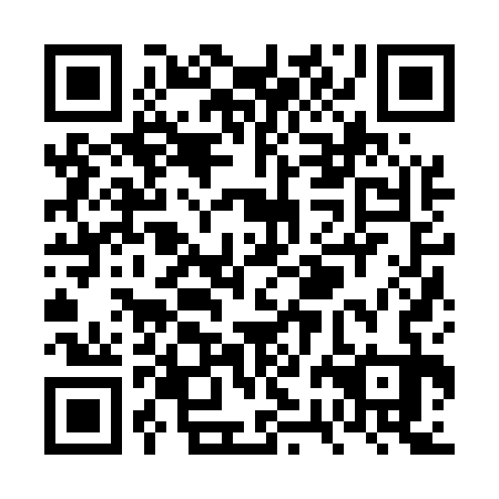 QR code for VRJ 533
