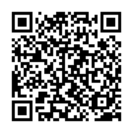 QR code for VSI 101