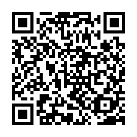 QR code for plate VSK 308