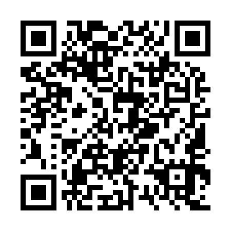 QR code for VSM 955