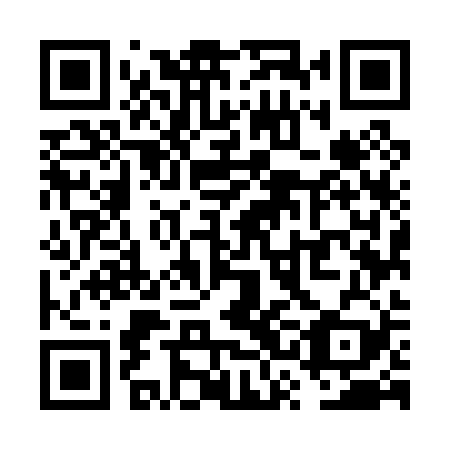 QR code for plate VSM 029