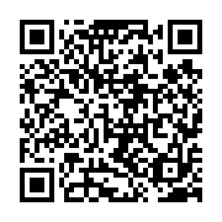 QR code for VSN 613