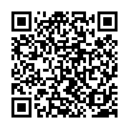 QR code for VSO411