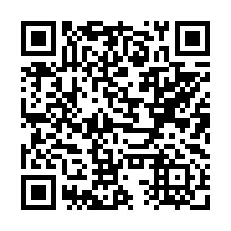 QR code for plate VSX 691