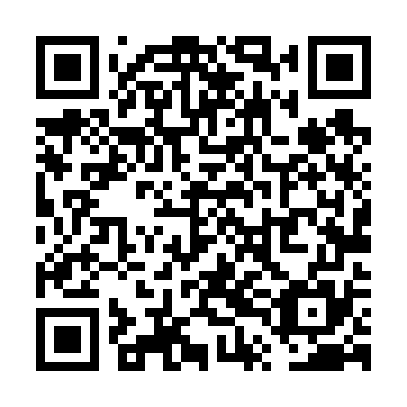 QR code for VTL 675
