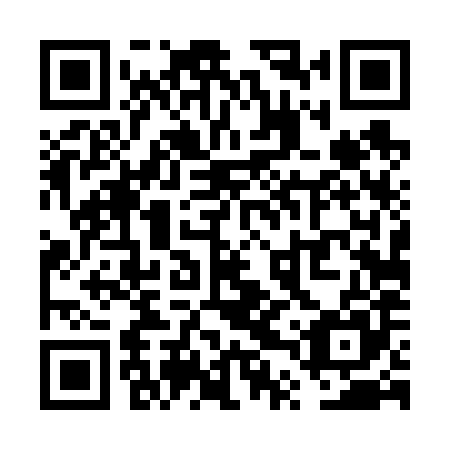 QR code for plate VTT 685