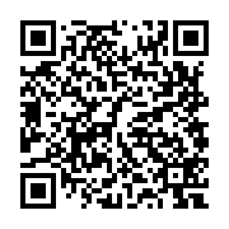 QR code for VTV 919