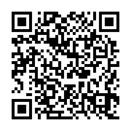 QR code for VTZ333