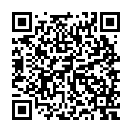 QR code for plate VTZ 385