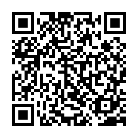 QR code for VUO 161