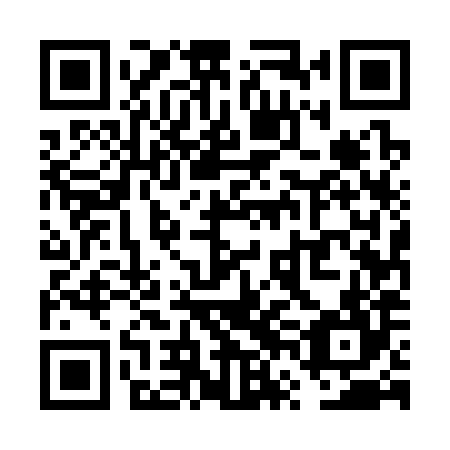 QR code for plate VVE 384