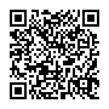 QR code for VVI306