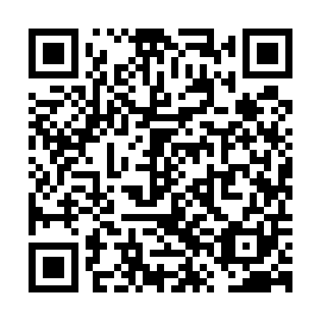 QR code for plate VVI 501
