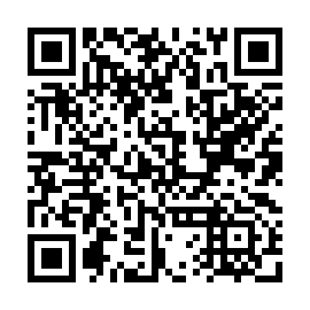 QR code for VVJ 393