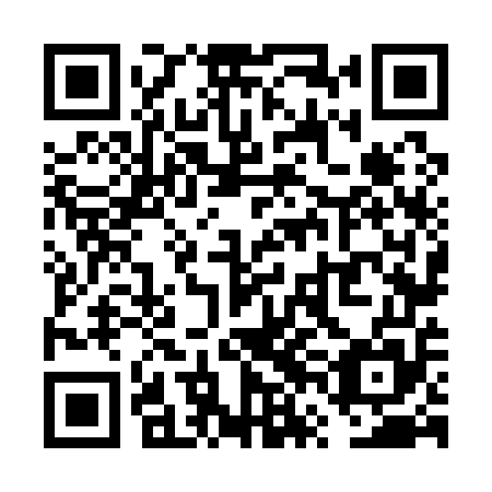 QR code for VVN 155