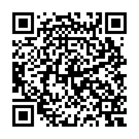 QR code for plate VVP 313