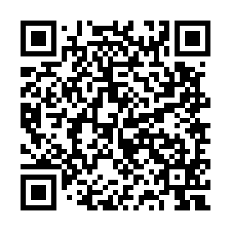 QR code for VVZ 595