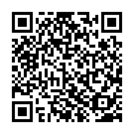 QR code for VXD338