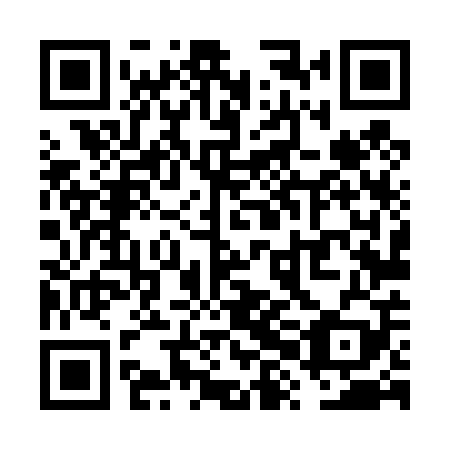 QR code for VXL409