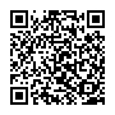 QR code for plate VXQ 228