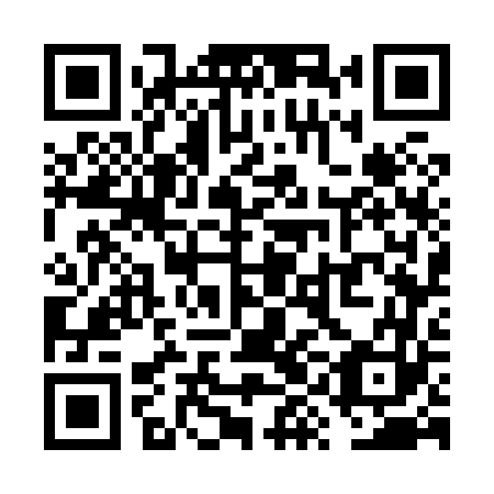QR code for plate VYG 863