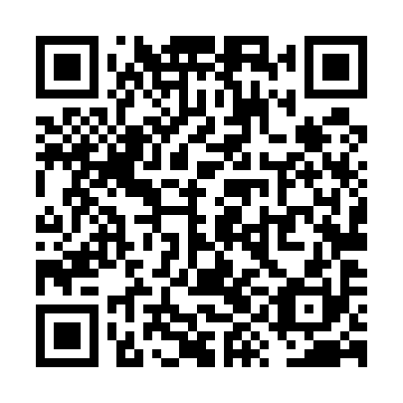 QR code for plate VYL 590