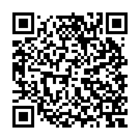 QR code for VYN 256