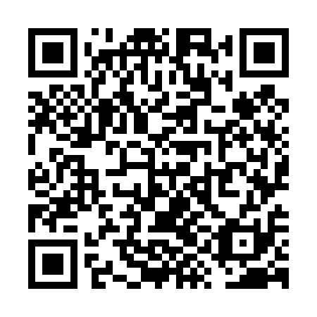 QR code for VYO 411
