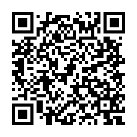 QR code for plate VYP 555