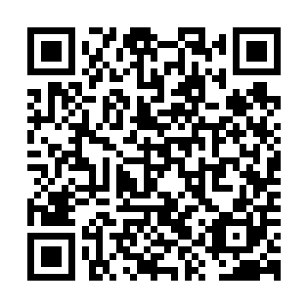 QR code for VYS600