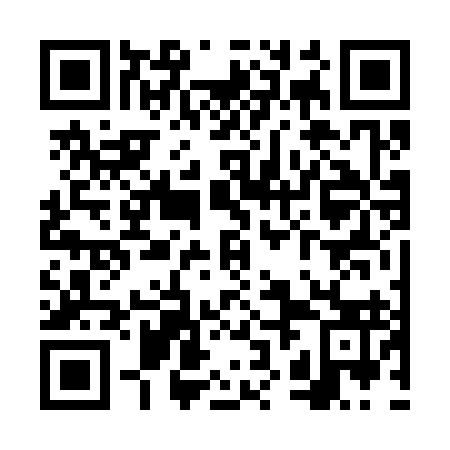 QR code for VZF 393