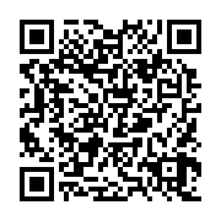 QR code for VZL368