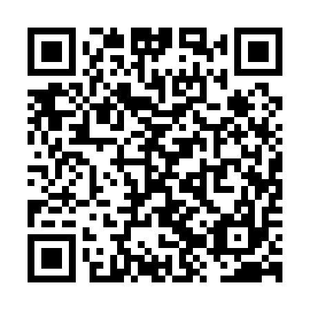 QR code for VZQ 117