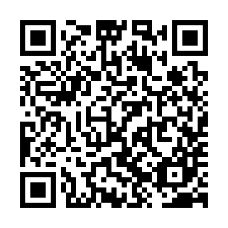 QR code for plate VZS 387