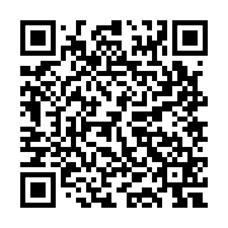 QR code for WAJ 161