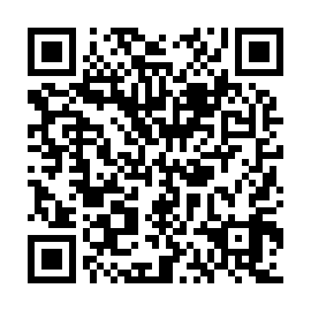 QR code for WAJ 919