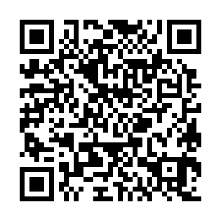 QR code for WAW381