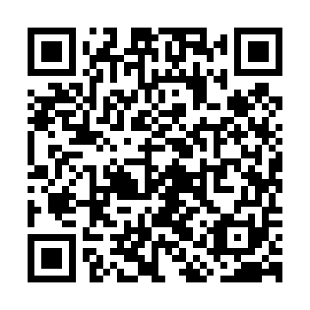 QR code for plate WAY 451