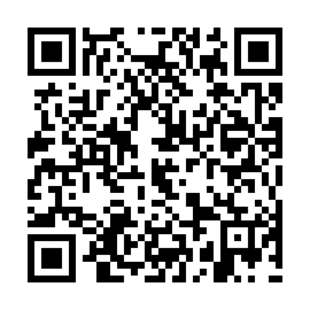QR code for plate WBM 385
