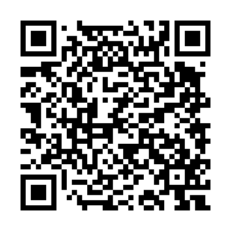 QR code for plate WBN 417