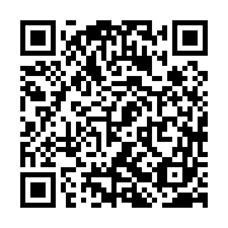 QR code for plate WBX 163
