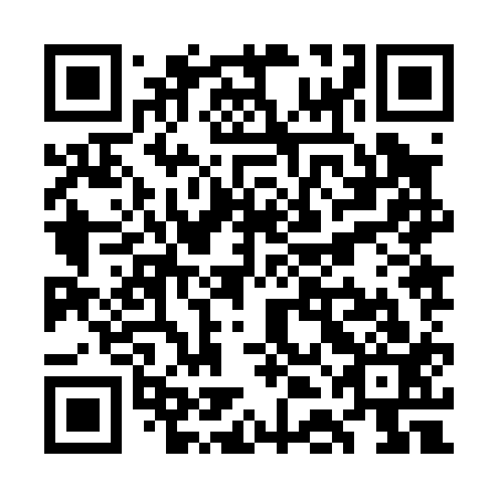 QR code for plate WDJ 013