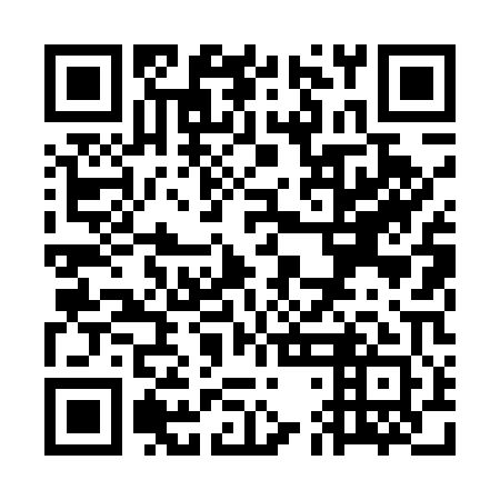 QR code for plate WDL 501