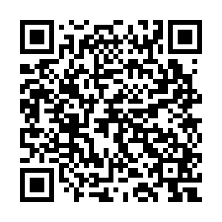 QR code for WDS 341