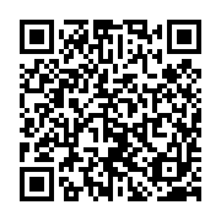 QR code for WDY 493