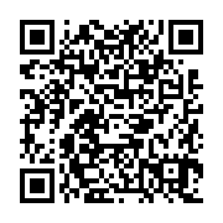 QR code for plate WDZ 685