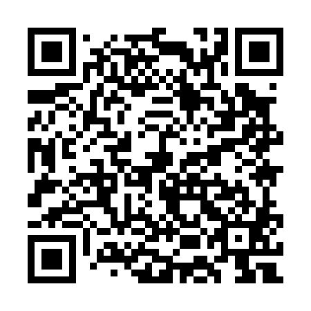 QR code for plate WEI 081
