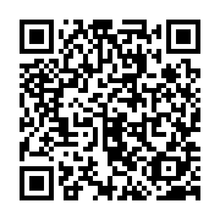 QR code for plate WEO 388
