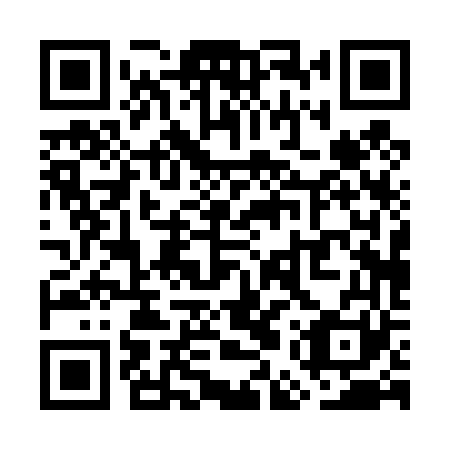 QR code for plate WEP 461