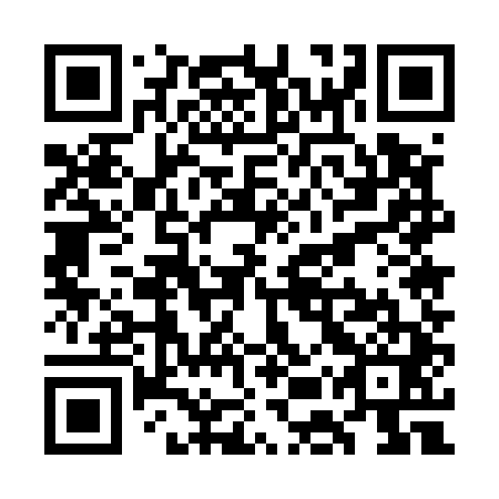 QR code for plate WEU 541